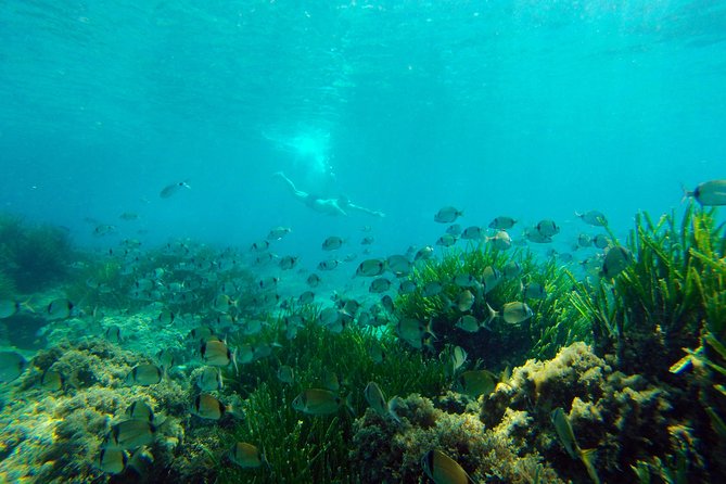 Cabo de Gata Active. Guided kayak and snorkel route through coves of the Natural Park - The 3-hour flow: from safety basics to coves and snorkeling