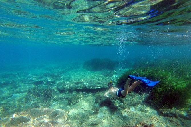 Cabo de Gata Active. Guided kayak and snorkel route through coves of the Natural Park - Parque Natural Cabo de Gata-Níjar: the biology and geology talk that clicks