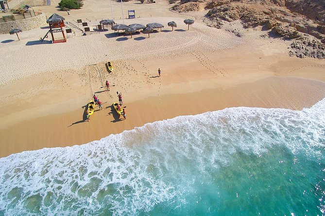 Cabo San Lucas Glass Bottom Kayak Tour and Snorkel at Two Bays - Price and What You’re Really Getting for $100