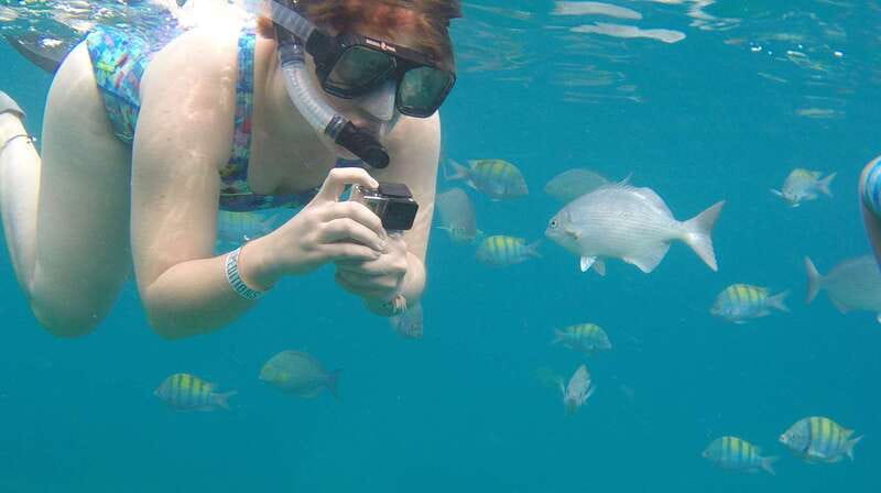 Cabo san Lucas: Paddle Boarding or Kayak and Snorkeling - The 2-hour schedule: pacing, currents, and how much effort to expect