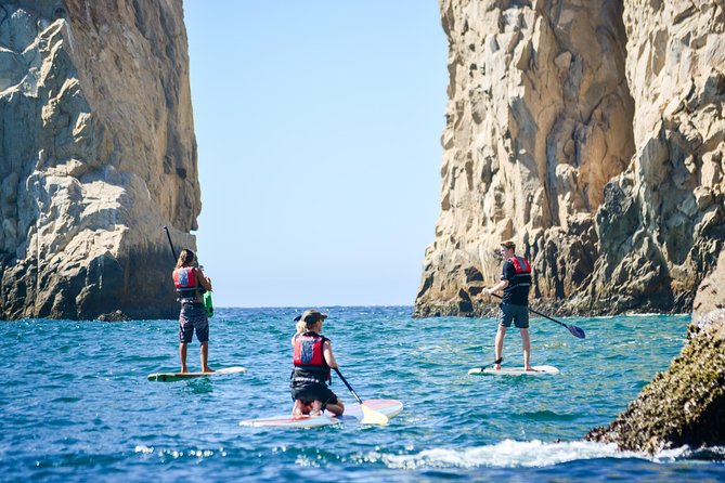 Cabo San Lucas Paddleboard and Snorkel at the Arch - Stop 1: Pelican Rock snorkeling and what that half-hour looks like