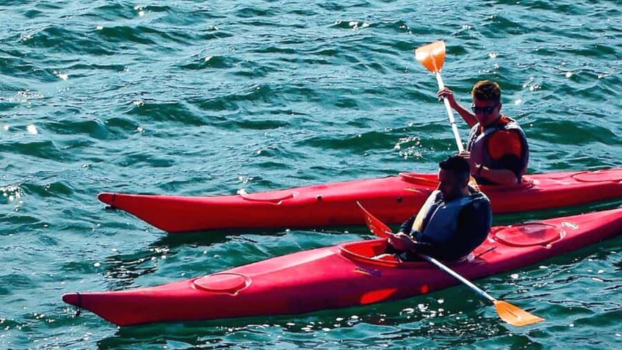 Cairo: Private Nile Kayaking Adventure with hotel transfers. - What to Bring, Wear, and Expect (So You Don’t Lose Time)