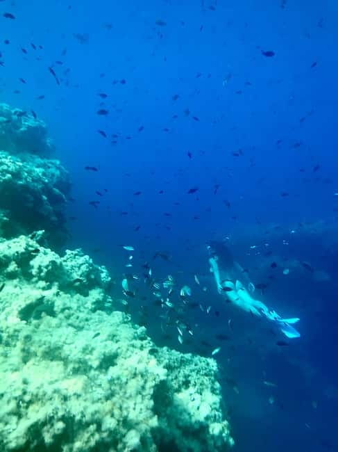 Cala Codolar: Guided Sea Kayaking and Snorkeling Tour - Stop for snorkeling: where the seabed is the real show