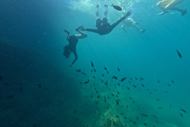 Cala Varques: Guided kayak Sea caves expedition & snorkeling - Price and value: is $90.11 a fair deal?
