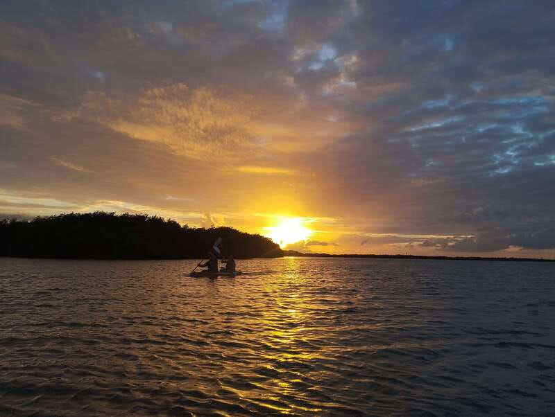 Cancun: Kayaking Tour in Nichupte Lagoon - Quick hits: what makes this kayak tour different