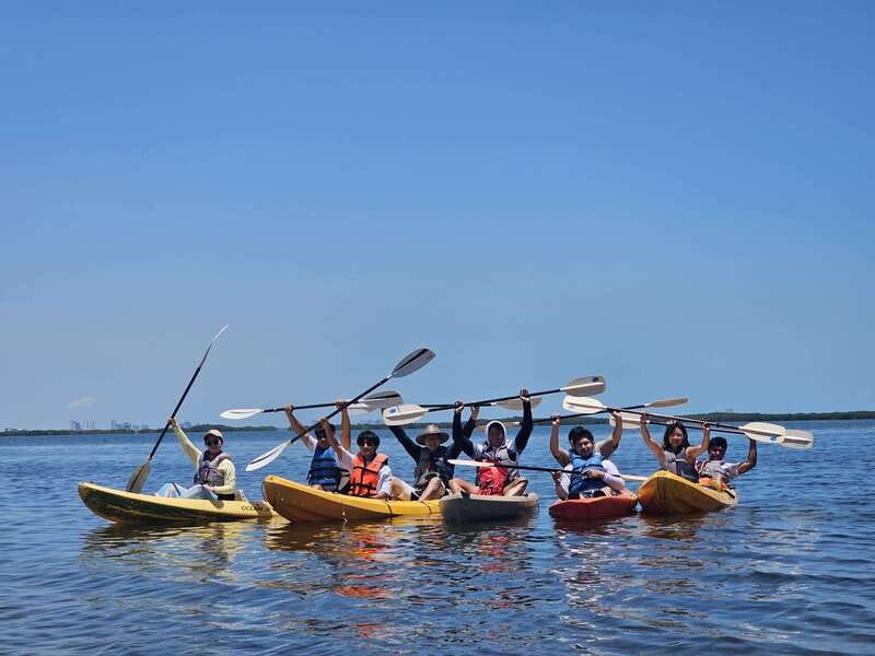 Cancun: Kayaking Tour in Nichupte Lagoon - What’s included in the $45 price (and where the value really shows)