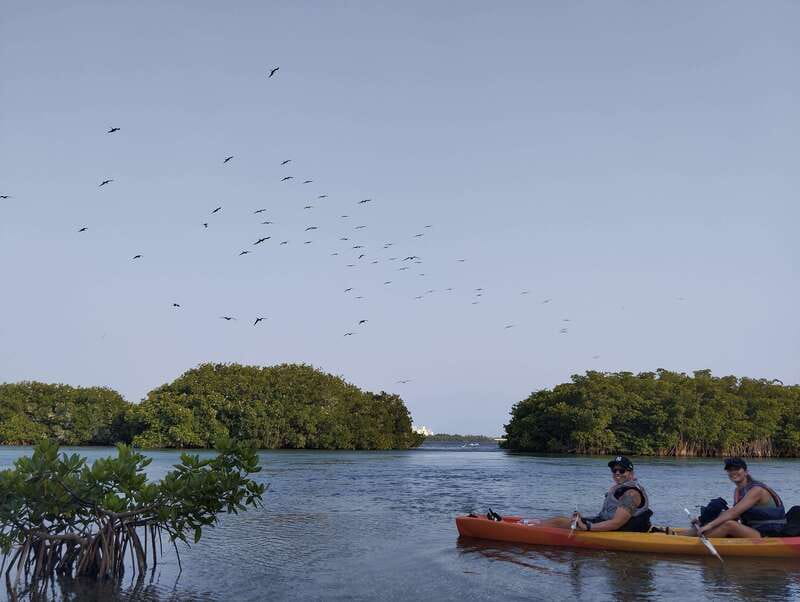Cancun: Kayaking Tour in Nichupte Lagoon - Choosing your departure time: sunrise calm, noon sun, or sunset views