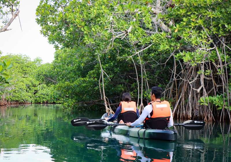 Cancun: Morning Kayak Adventure - Kayak choice, comfort, and fitness reality checks