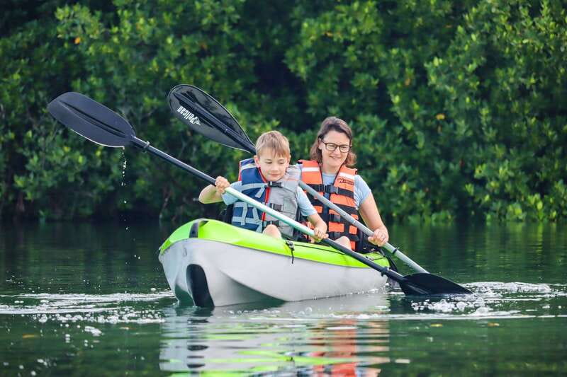 Cancun: Sunset Kayak Experience in the Mangroves - Key things I’d circle before you book
