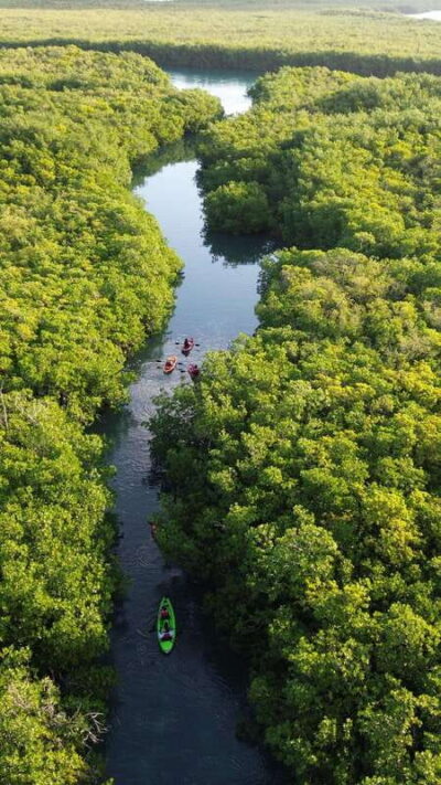 Cancun: Sunset Kayak Experience in the Mangroves - Before you paddle: the safety briefing and quick skills warm-up