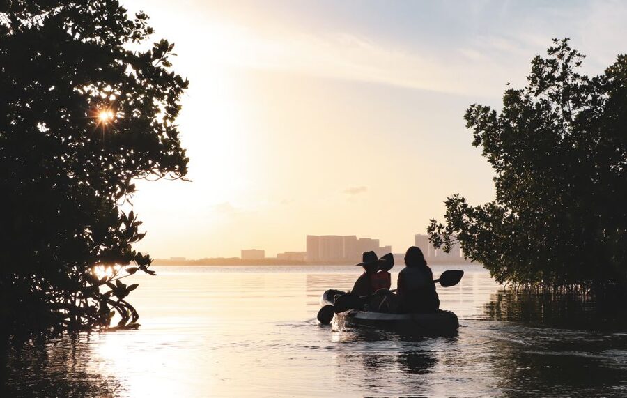 Cancun: Sunset Kayak Experience in the Mangroves - The second 45 minutes: where wildlife clues get easier to spot