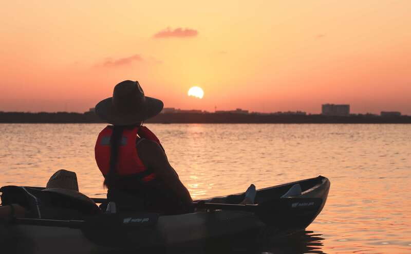 Cancun: Sunset Kayak Experience in the Mangroves - Wildlife spotting tips the guides coach you to use