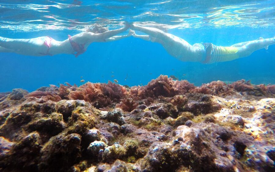 Caniço, Madeira: Marine Reserve Kayak & Snorkelling Tour - Caniço Launch Point: how this tour starts in real life