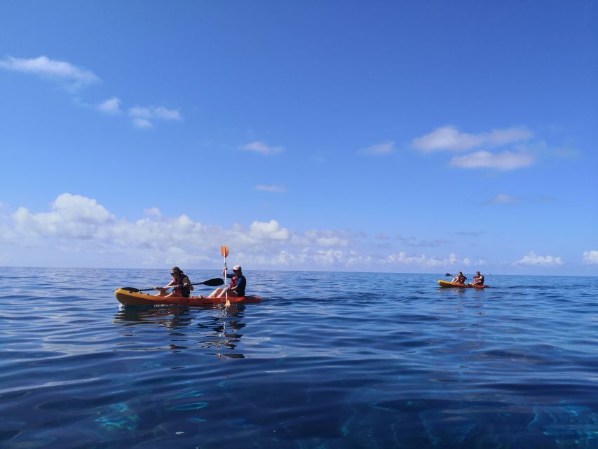 Caniço, Madeira: Marine Reserve Kayak & Snorkelling Tour - Who should book this kayak and snorkel in Caniço