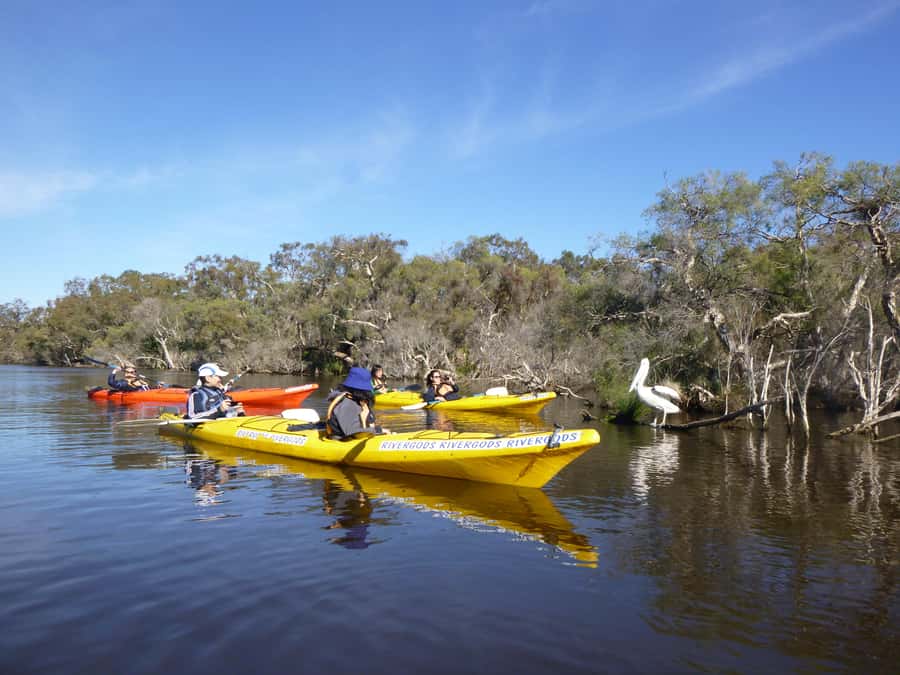 Canning River Half-Day Kayak Wildlife Tour - Tandem Kayaks + Calm Water = Less Stress on Your Body and Mind