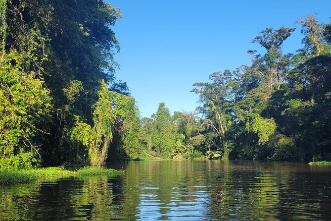 Canoe Boat Tour in Tortuguero Canal - Why a canoe tour makes sense in Tortuguero