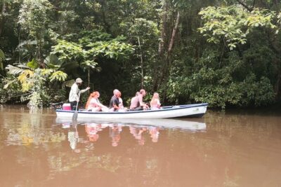 Canoe tour dentro del Parque - What you’ll do during the 3 hours (and why the timing matters)