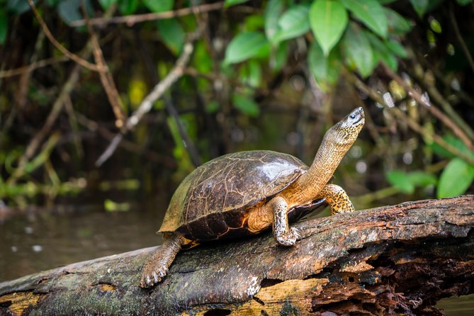 Canoe tour dentro del Parque - Price and value: $28 plus park admissions you should budget for