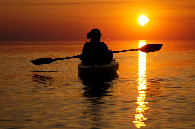 Cape Hatteras Kayak Adventure in Rodanthe - Wildlife spotting tips that make a real difference