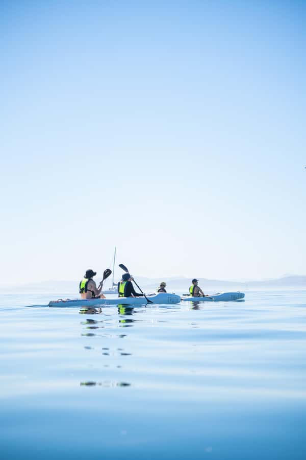 Cape Town: Dolphin & Ocean Wildlife Kayaking Adventure ⚓️ - Timing matters: morning air, ocean light, and a calm pace