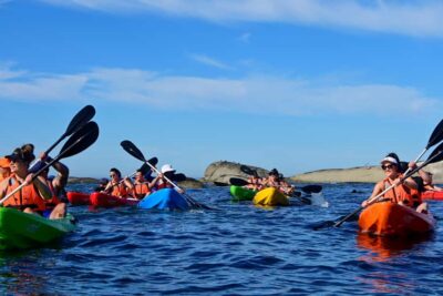Cape Town: Guided Kayak Tour of Clifton Beaches & The Coast - Meeting at Clifton 4th Beach: what happens before you paddle