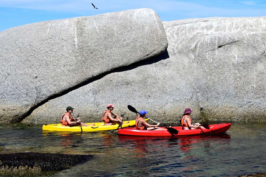Cape Town: Guided Kayak Tour of Clifton Beaches & The Coast - Seal colony stop: close wildlife viewing without overpromising