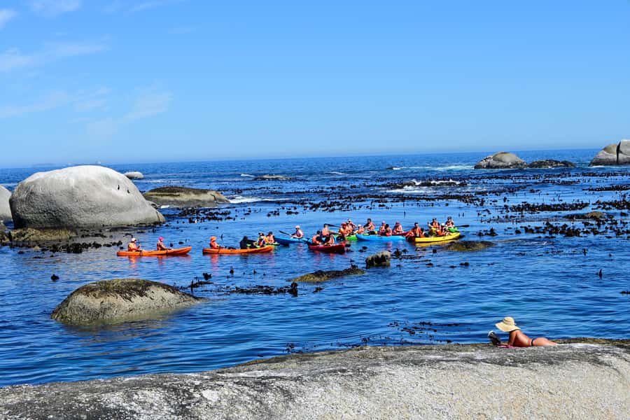 Cape Town: Guided Kayak Tour of Clifton Beaches & The Coast - Timing and the Cape Town wind factor