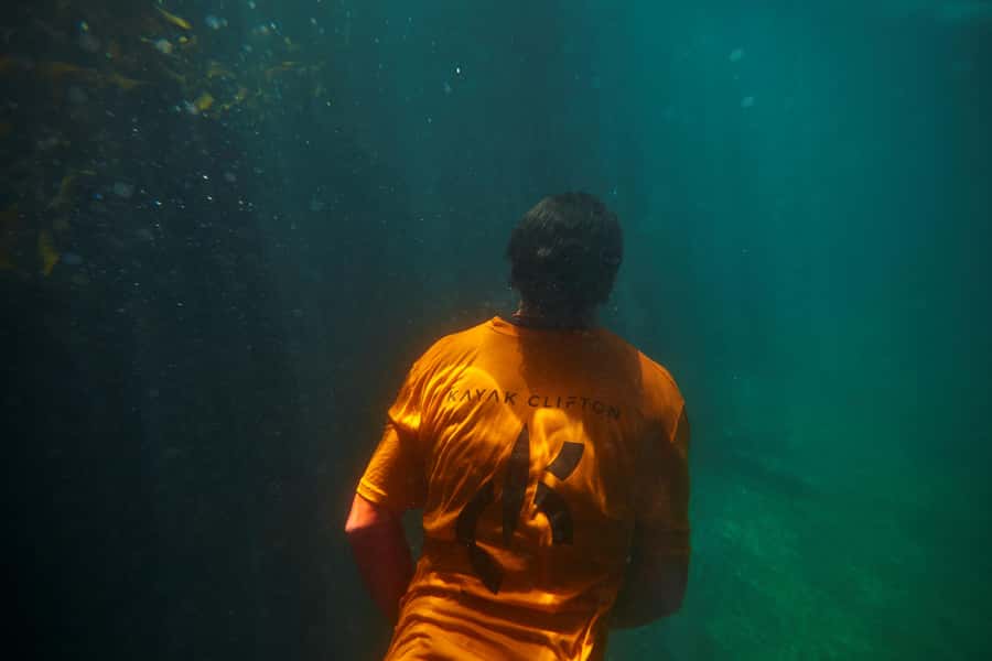 Cape Town: Guided Kayak Tour of Clifton Beaches & The Coast - What’s included, what’s not, and how that affects value