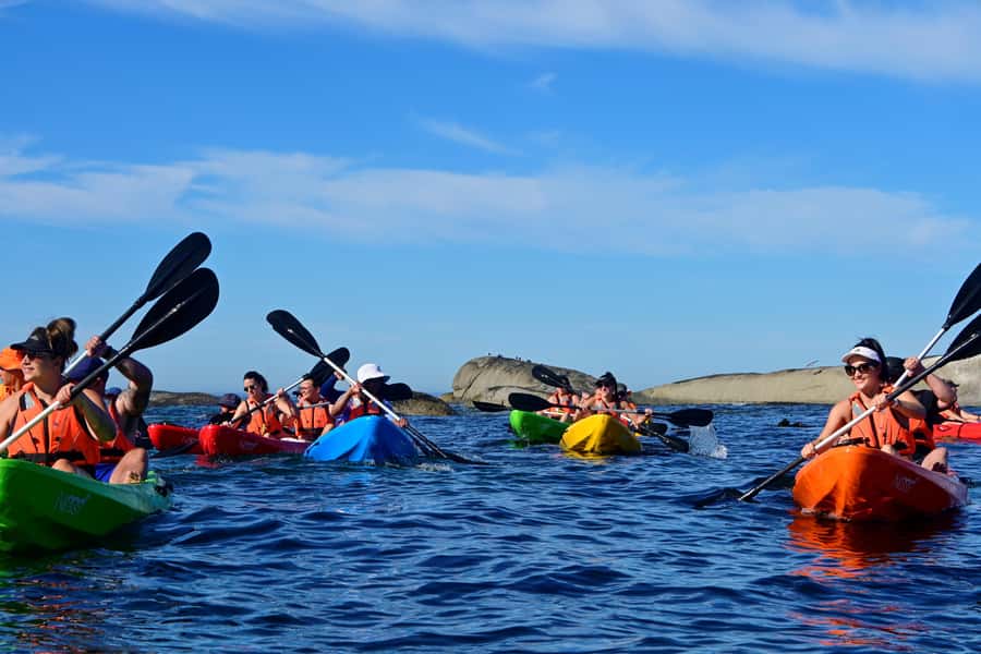 Cape Town: Guided Kayak Tour of Clifton Beaches & The Coast - Meeting at Clifton 4th Beach: what happens before you paddle