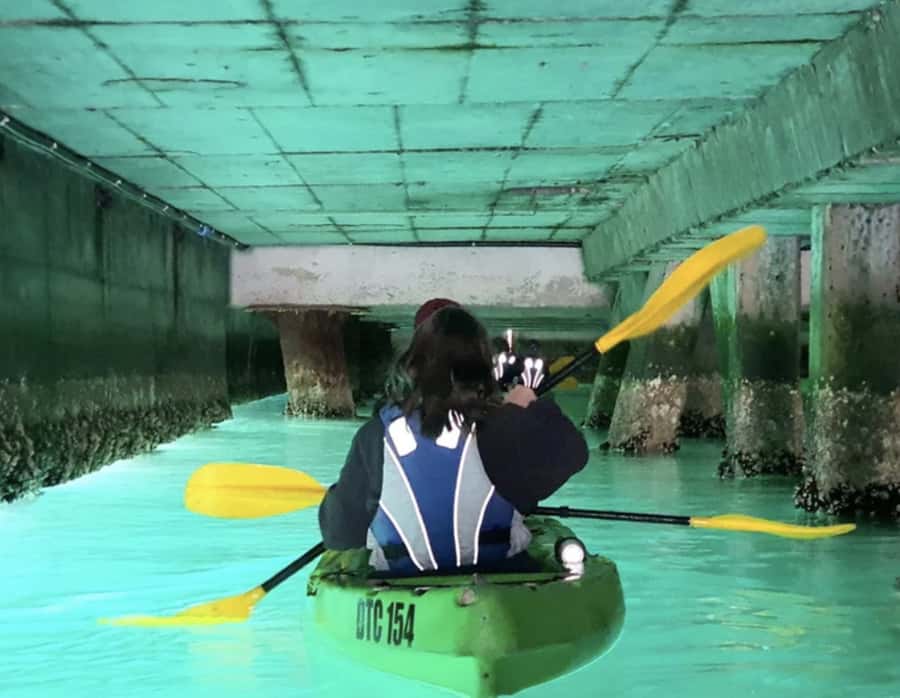 Cape Town: Guided Kayaking in Hout Bay - 6 Key things you’ll care about on this Hout Bay kayaking tour