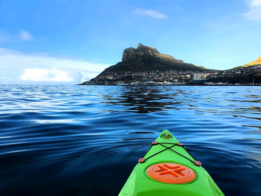 Cape Town: Guided Kayaking in Hout Bay - Why Hout Bay is a top spot for guided kayaking