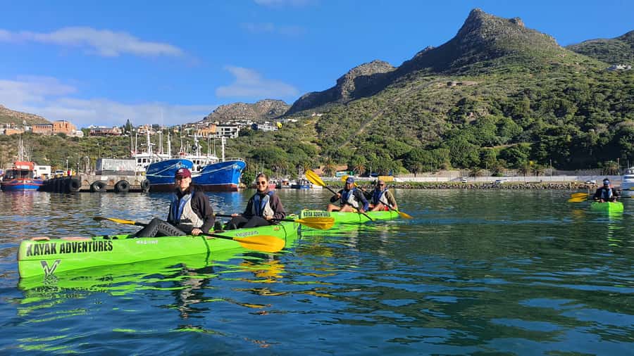 Cape Town: Guided Kayaking in Hout Bay - Weather rules: how wind affects your experience and plans