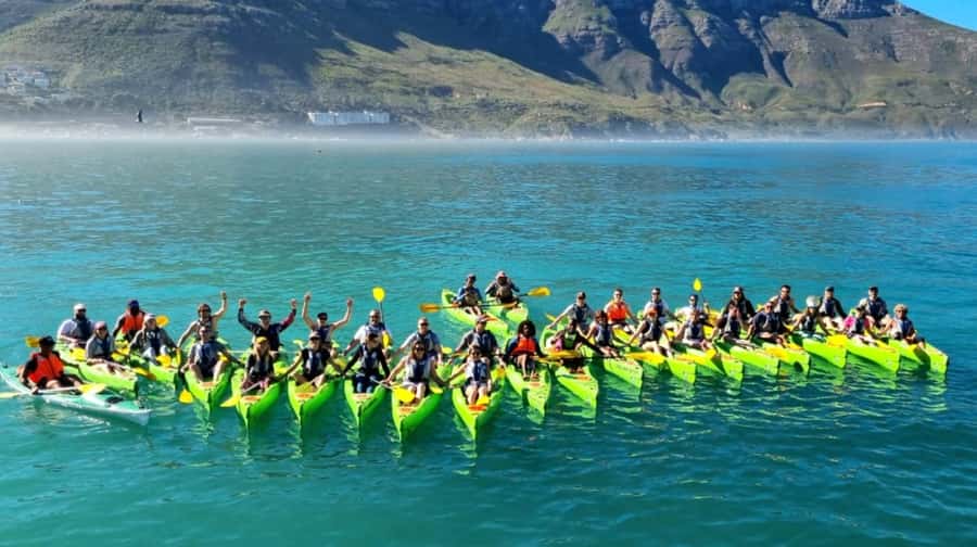Cape Town: Guided Kayaking in Hout Bay - Who should book this Hout Bay kayaking tour (and who might rethink it)