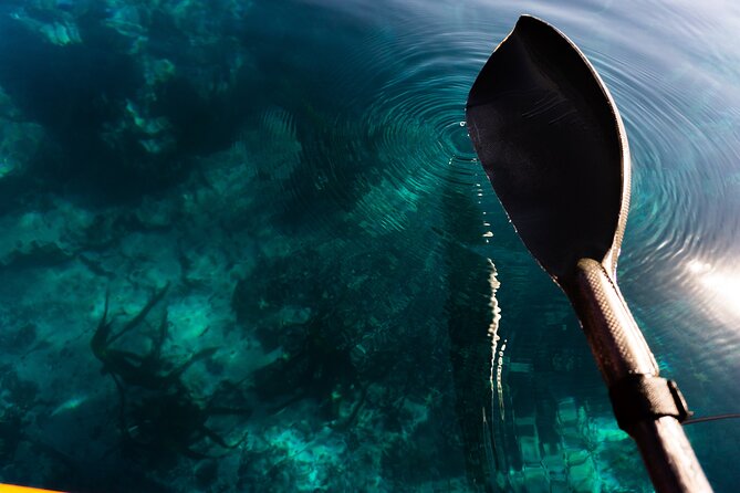 Cape Town Kayak Adventure in Table Mountain Marine Reserve - Getting Your Bearings: Tandem Kayaks and a 2-Hour Reality Check
