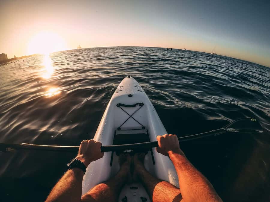 Cape Town: Marine Life Kayak Tour From the V&A Waterfront - What to bring (and what to buy) so the wind doesn’t ruin your day