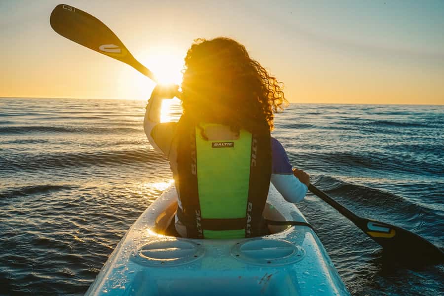Cape Town: Marine Life Kayak Tour From the V&A Waterfront - Price and value: is $37 for 2 hours worth it?