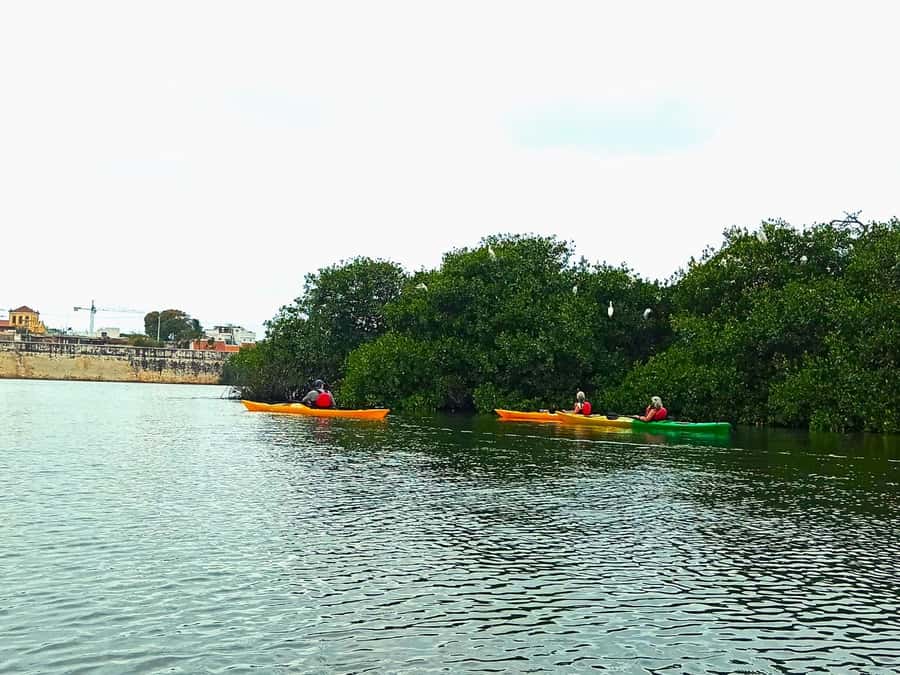 Cartagena: Walled City Kayak Tour - Small Group Pace: Better Instruction, But Still Expect Cartagena Heat