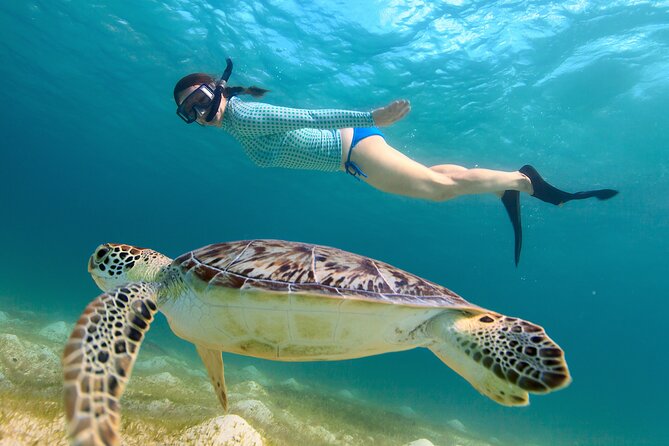 Cas Cay - Kayak Hike and Snorkel Adventure - Kayaking the Red Mangroves: Paddling Ease and Real Conditions