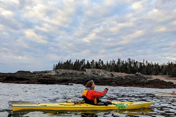Casco Bay Half-Day Sea Kayak Tour - Spotting Seals and Seabirds Without Guesswork