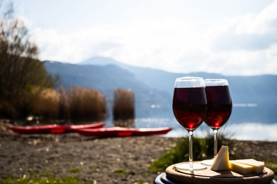 Castel Gandolfo: Kayak Food and Wine Tour - Price and Time: What You’re Really Getting for $77
