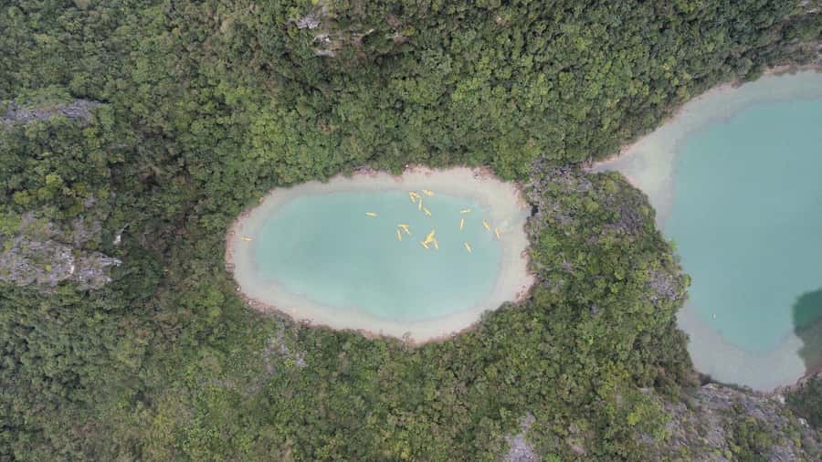 Cat Ba: Lan Ha and Ha Long Bay Boat Tour with Kayaking, Cave - Cai Beo floating village: fishermen, routines, and a real sense of place