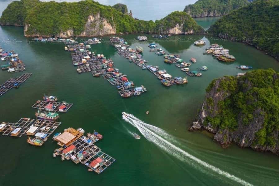 Cat Ba : Lan Ha Bay Bioluminescent Plankton Kayak Boat Tour - Night Kayaking for Bioluminescent Plankton Glow