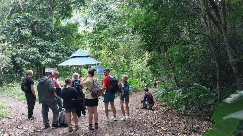 Cat Ba: National Park Day Trip with Cycling and Kayaking - Key Highlights You’ll Feel Immediately