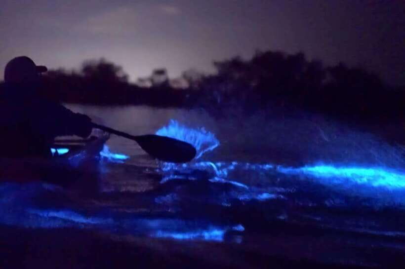 Cat Ba: Sunset and Night kayak with bioluminescent plankton - Price and Logistics: Is $35 Good Value?