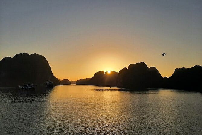 Cat Ba: Sunset & Bioluminescent Kayaking on Lan Ha Bay - Swim Time and Limestone Islets: When the Bay Gets Interactive