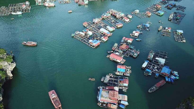 Cat Ba: Sunset on Lan Ha Bay with Sunset Party - Lan Ha Bay activities: kayaking, swimming, Jacuzzi, and a water slide