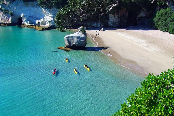 Cathedral Cove Kayak Tour - Paddle Work, Then the Wind Helps: What You’ll Actually Feel