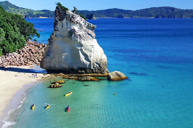 Cathedral Cove Kayak Tour - Entering the Te Whanganui-a-Hei Marine Reserve: Caves, Rock Gardens, Wildlife