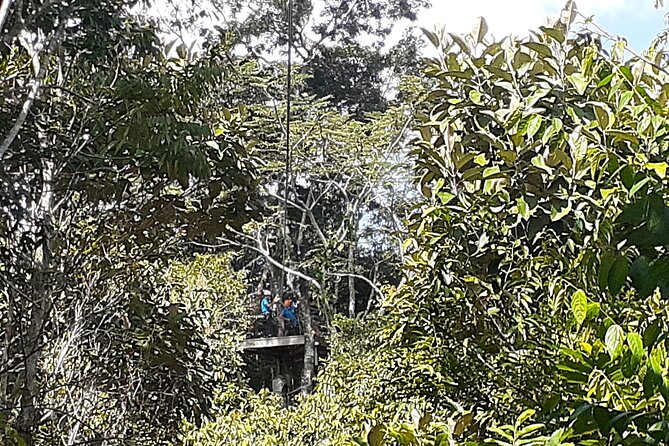 Cave Kayaking or tubing, Ziplines and Altun Ha V.i.V. - Key Highlights Worth Your Time