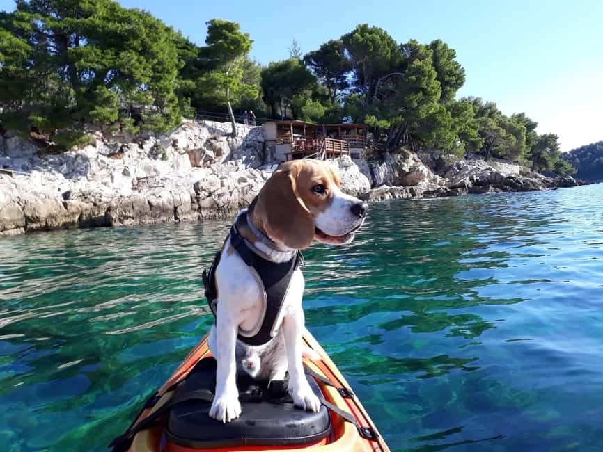 Cavtat: 'Pomalo' Guided Sea Kayaking Tour - The Pomalo Approach: Relaxed Pace, Not a Fitness Test